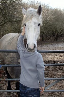 Silly horses runner up