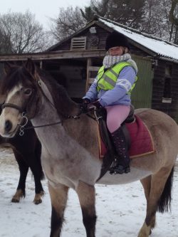 Beano in the snow