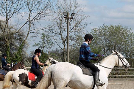 Horse and pony loans