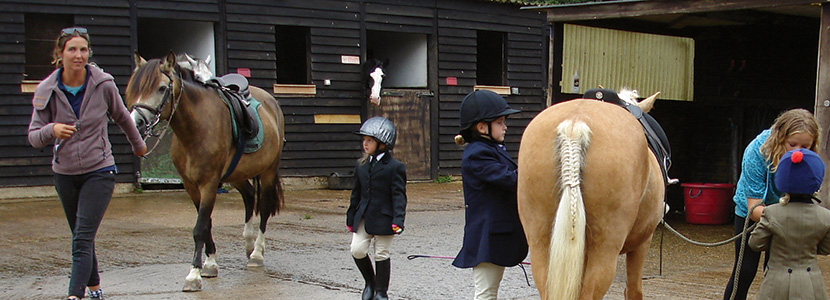 Pony Days