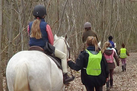 Wellgrove Riding for the Disabled