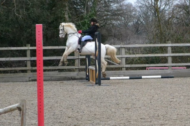 Silly horses winner